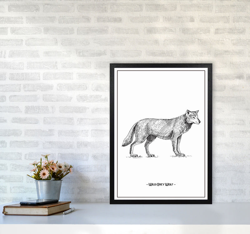 Wild Grey Wolf Art Print by Jason Stanley A2 White Frame