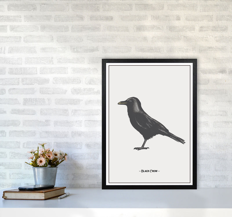 The Black Crow Art Print by Jason Stanley A2 White Frame