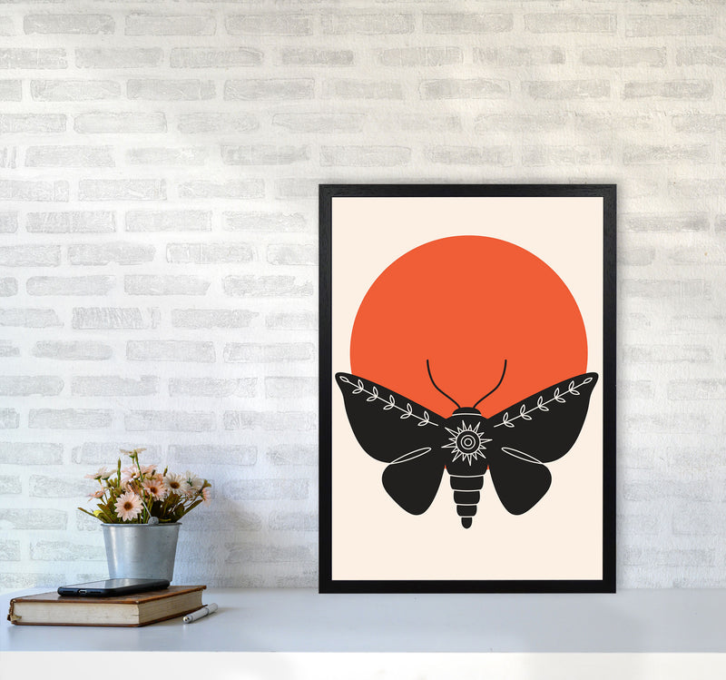 Sunshine Moth Art Print by Jason Stanley A2 White Frame