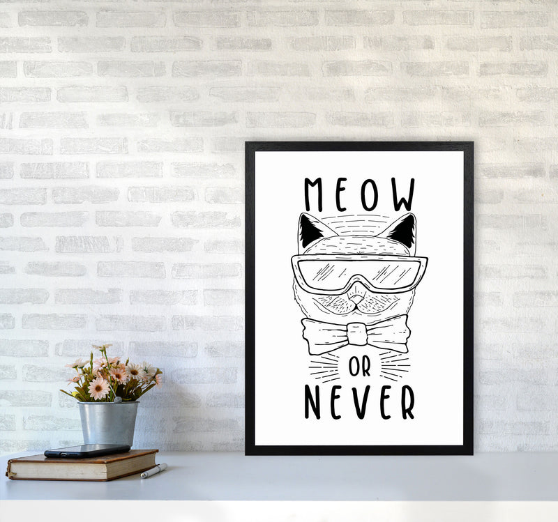 Meow Or Never Art Print by Jason Stanley A2 White Frame