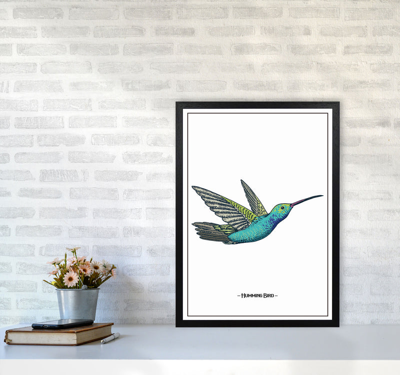 Humming Bird Art Print by Jason Stanley A2 White Frame