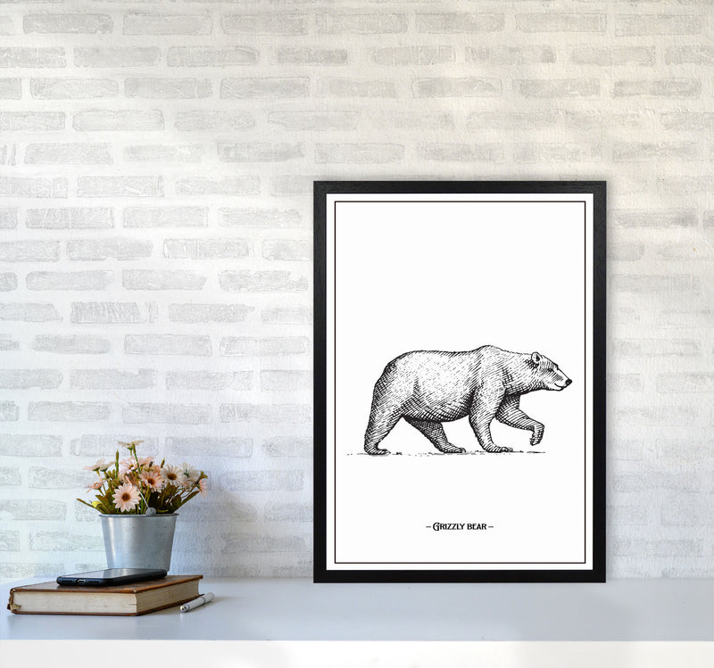 Grizzly Bear Art Print by Jason Stanley A2 White Frame