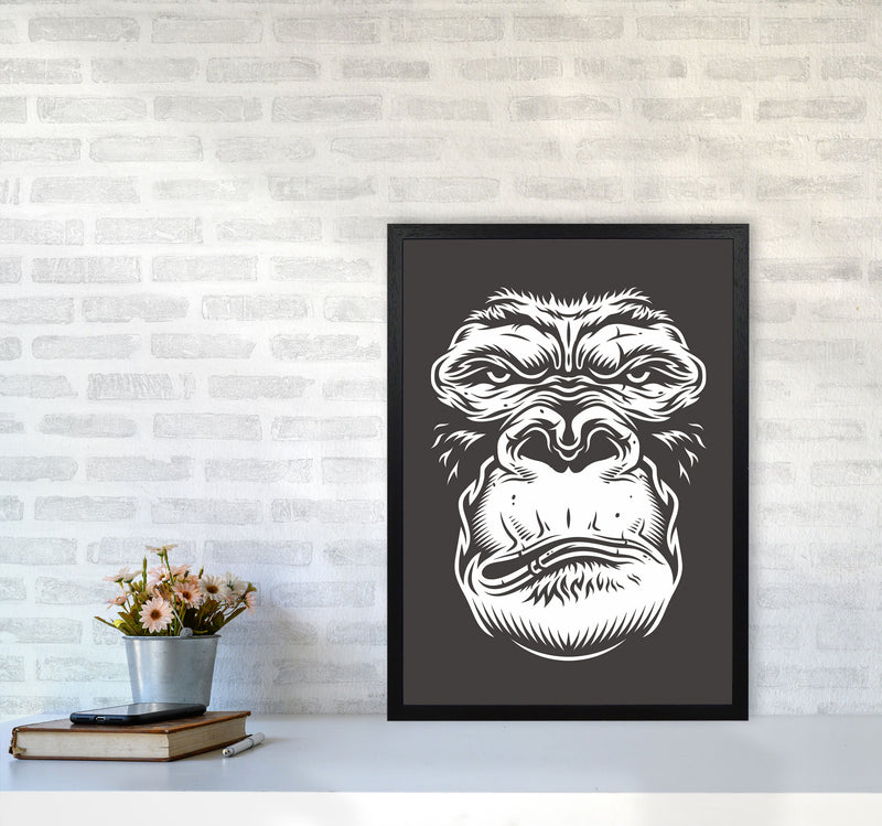 Close Up Ape Art Print by Jason Stanley A2 White Frame