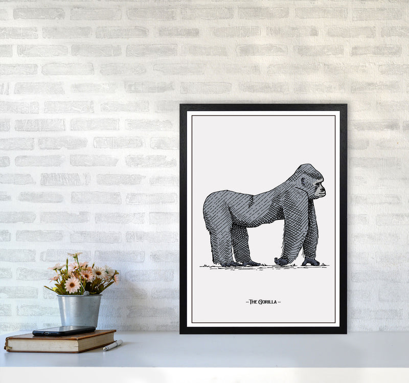 The Gorilla Art Print by Jason Stanley A2 White Frame