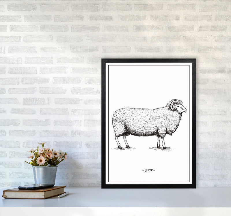 Sheep Art Print by Jason Stanley A2 White Frame