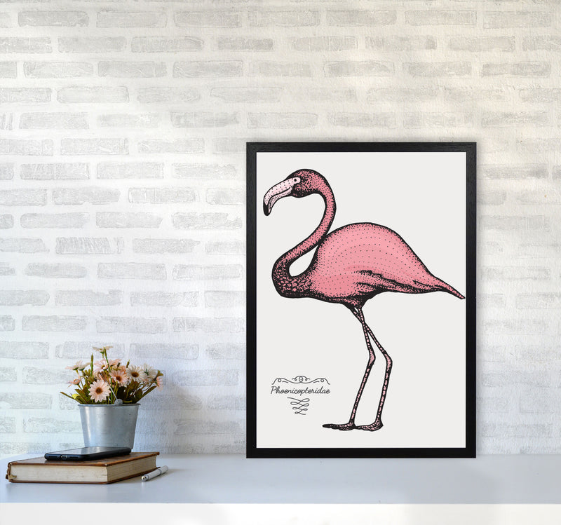 Flamingo Art Print by Jason Stanley A2 White Frame