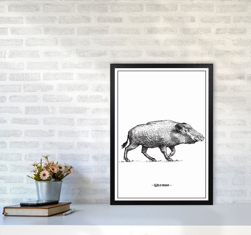 Wild Boar Art Print by Jason Stanley A2 White Frame