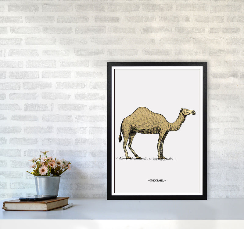 The Camel Art Print by Jason Stanley A2 White Frame