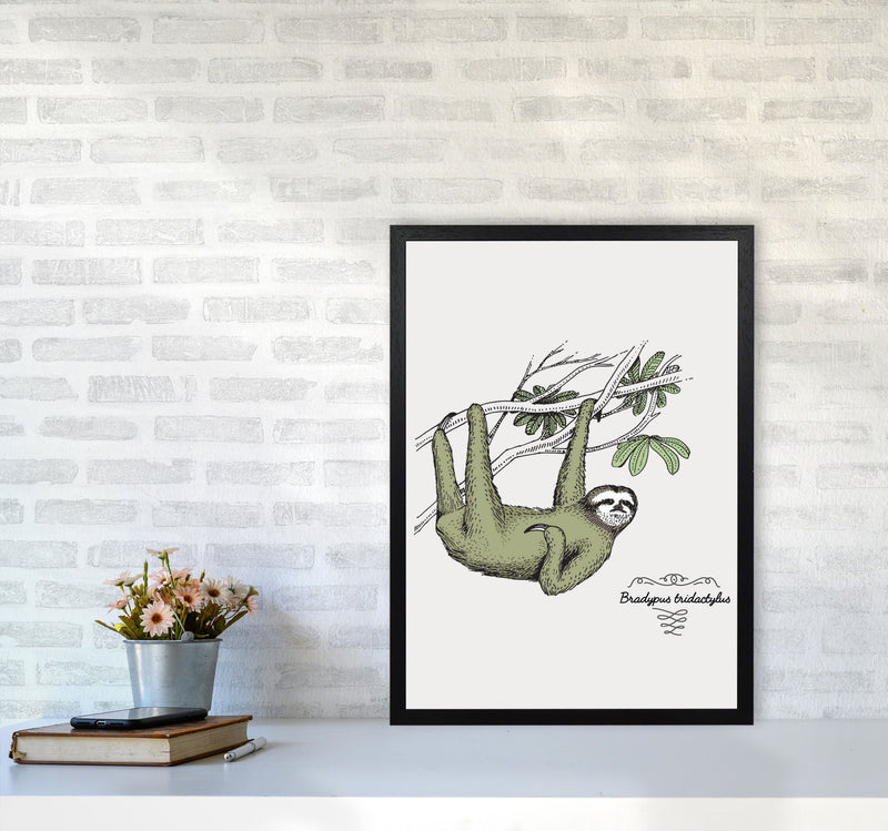 Sloth Art Print by Jason Stanley A2 White Frame