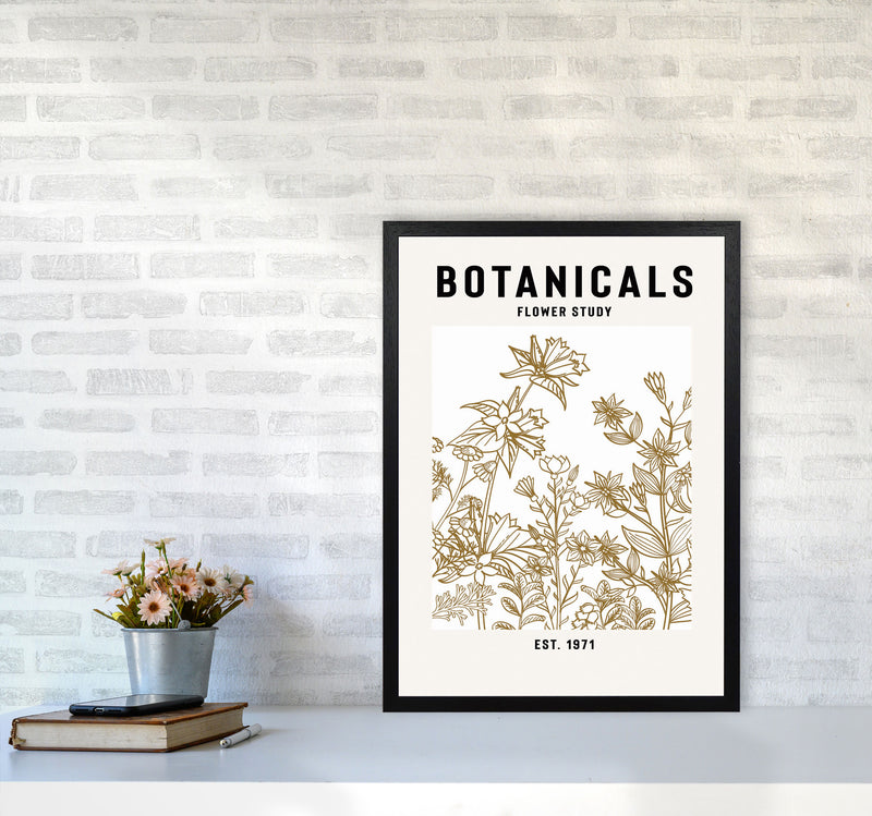 Botanicals Flower Study II Art Print by Jason Stanley A2 White Frame