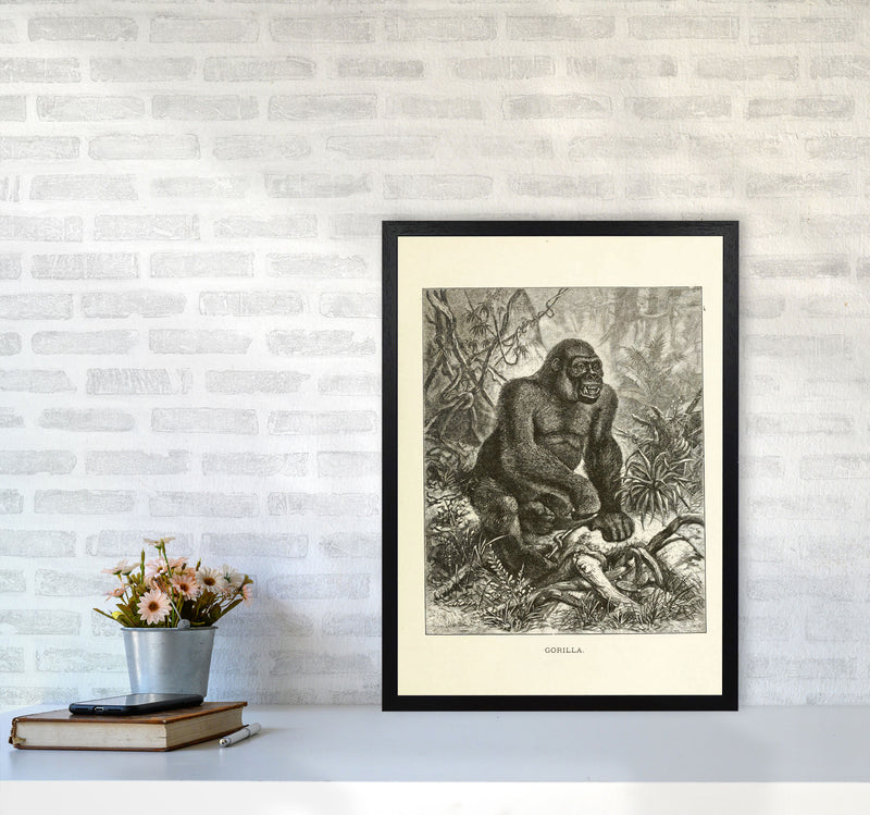The Other King Of The Jungle Art Print by Jason Stanley A2 White Frame