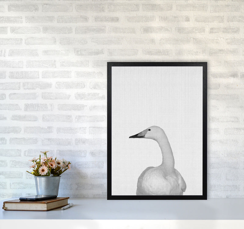 The Case Of The Lost Goose Art Print by Jason Stanley A2 White Frame