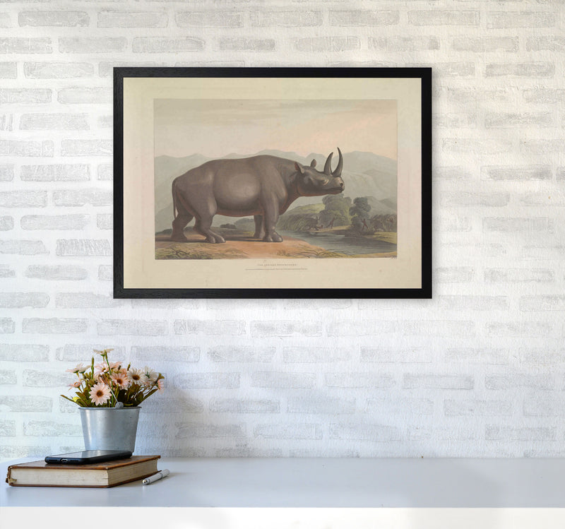 Vintage Rhino Illustration Art Print by Jason Stanley A2 White Frame