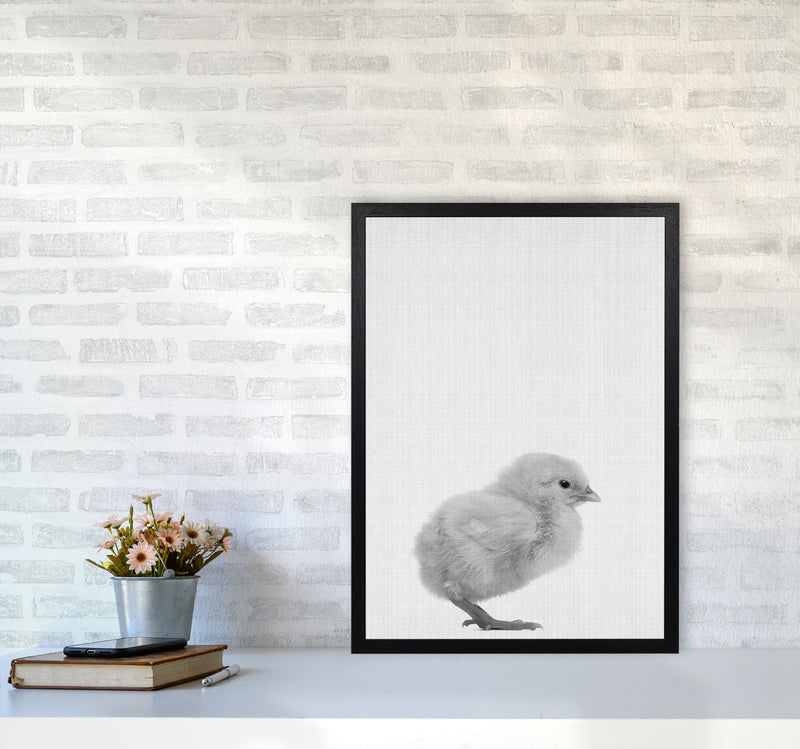 Just Me And My Chick Copy Art Print by Jason Stanley A2 White Frame