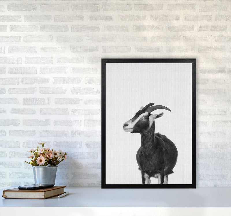 This Goat Takes The Cake Art Print by Jason Stanley A2 White Frame