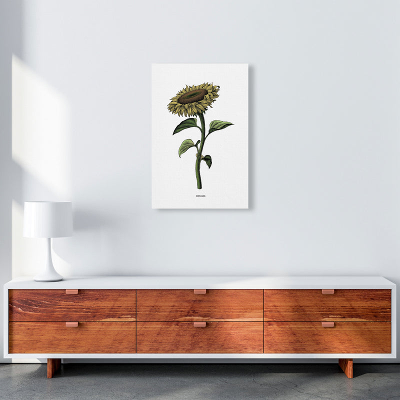 Sunflowers For President Art Print by Jason Stanley A2 Canvas