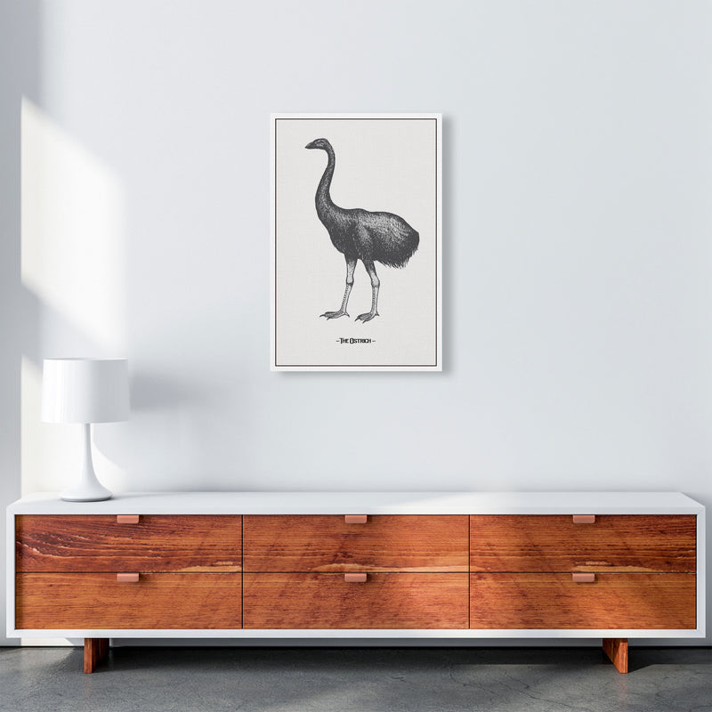 The Ostrich Art Print by Jason Stanley A2 Canvas
