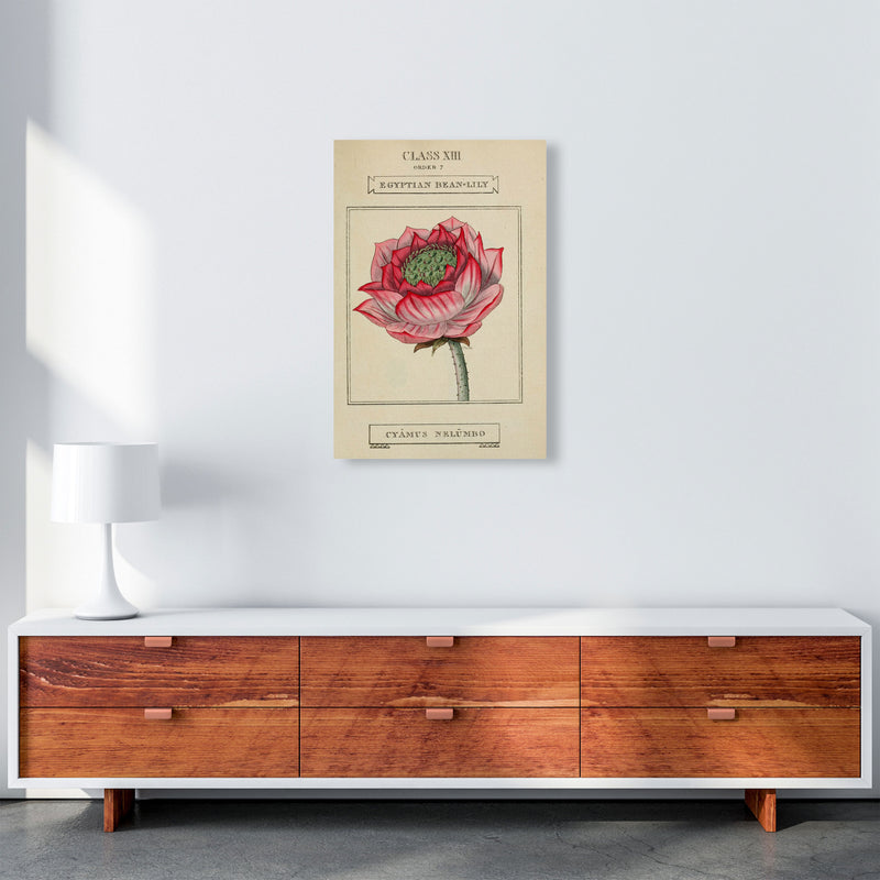 Vintage Flower Series 7 Art Print by Jason Stanley A2 Canvas