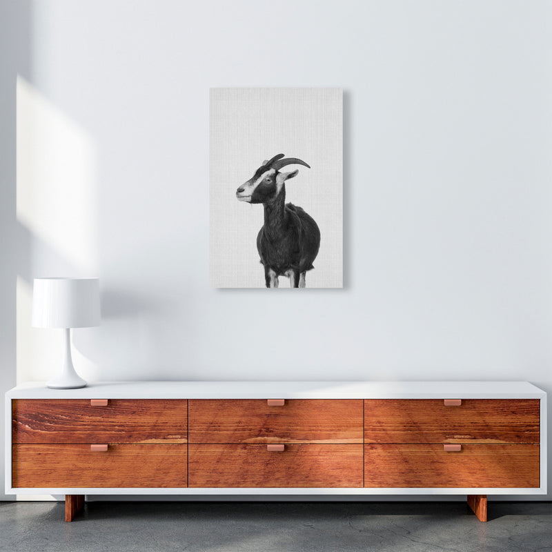 This Goat Takes The Cake Art Print by Jason Stanley A2 Canvas