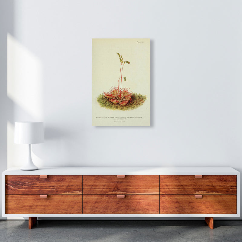 A Carnivorous Plant Art Print by Jason Stanley A2 Canvas