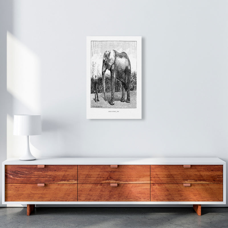 African Elephant Art Print by Jason Stanley A2 Canvas