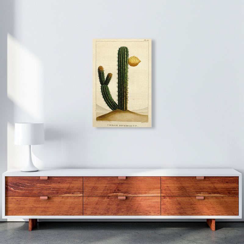 Vintage Cactus II Art Print by Jason Stanley A2 Canvas