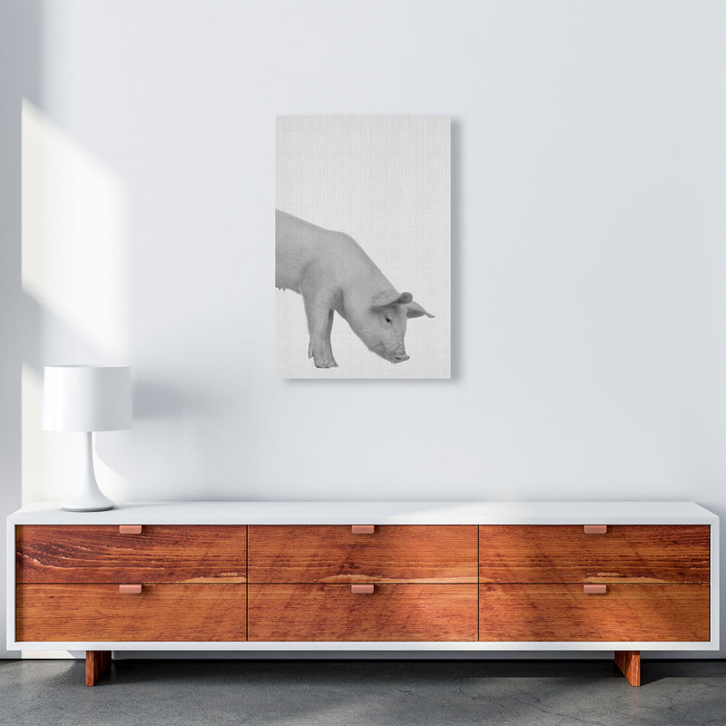 The Cleanest Pig Art Print by Jason Stanley A2 Canvas