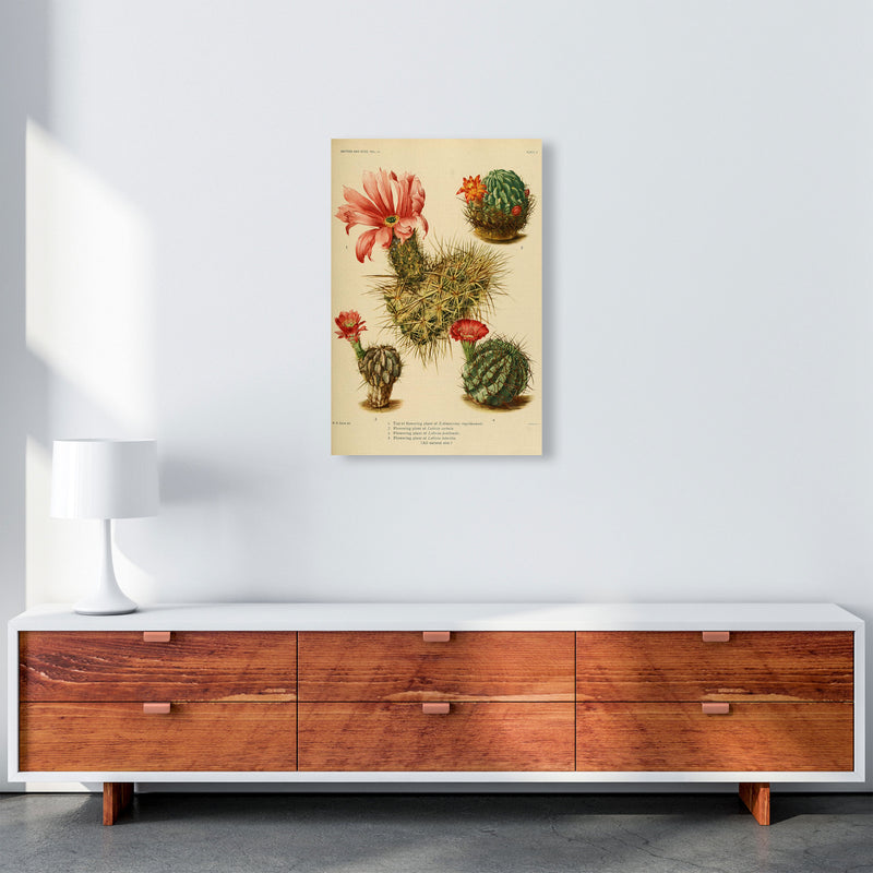 Cactus Series 4 Art Print by Jason Stanley A2 Canvas