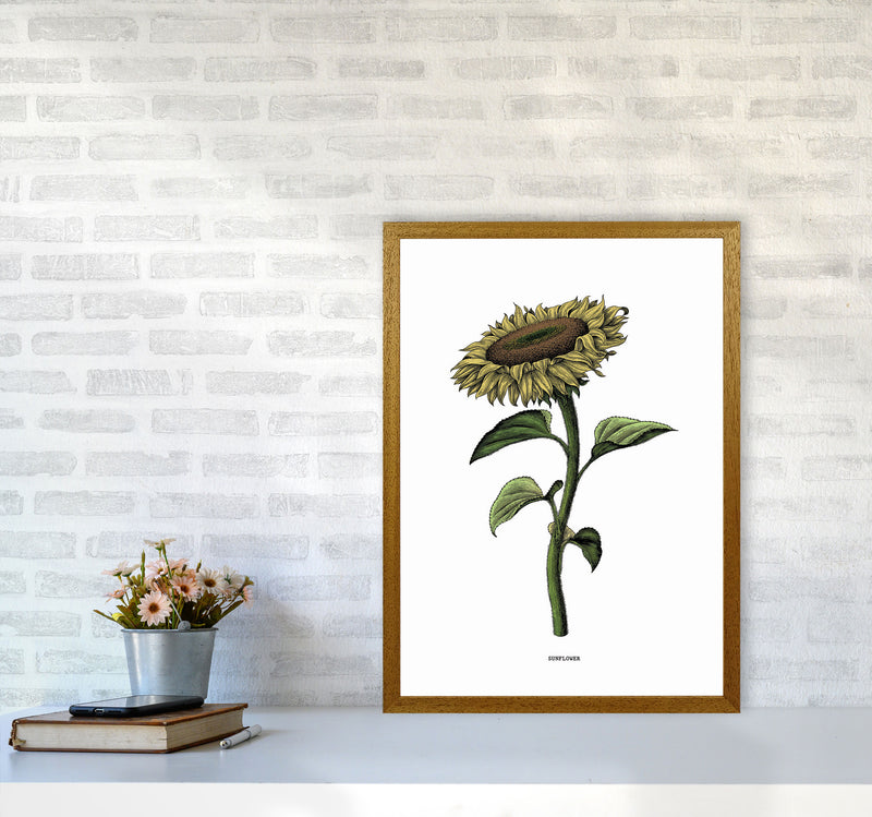 Sunflowers For President Art Print by Jason Stanley A2 Print Only