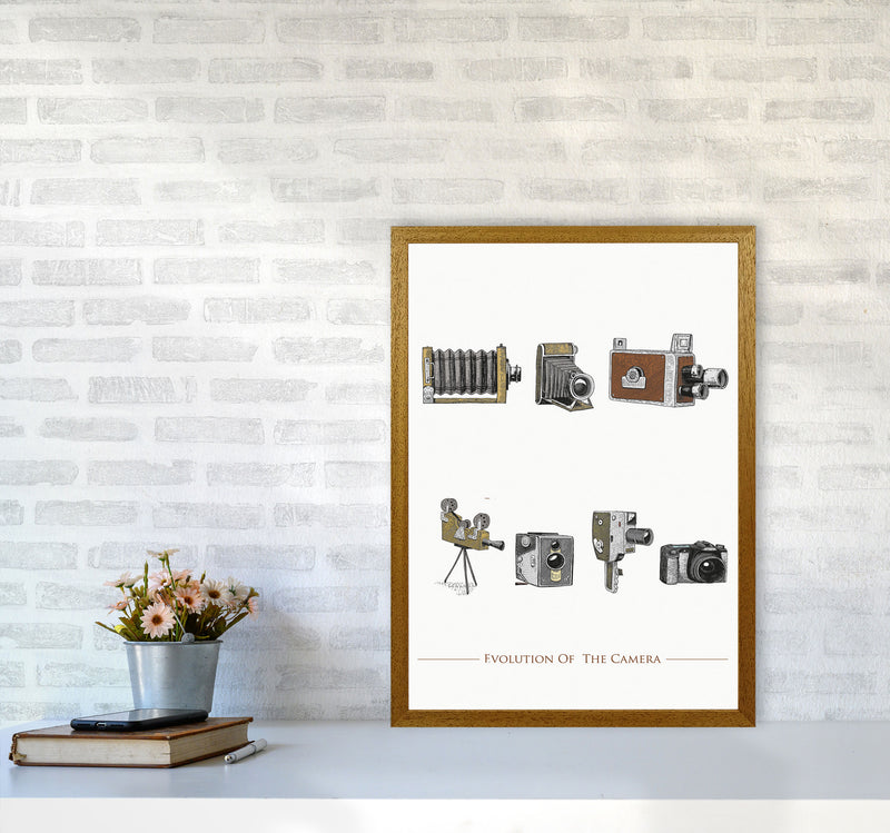 Evolution Of The Camera Art Print by Jason Stanley A2 Print Only
