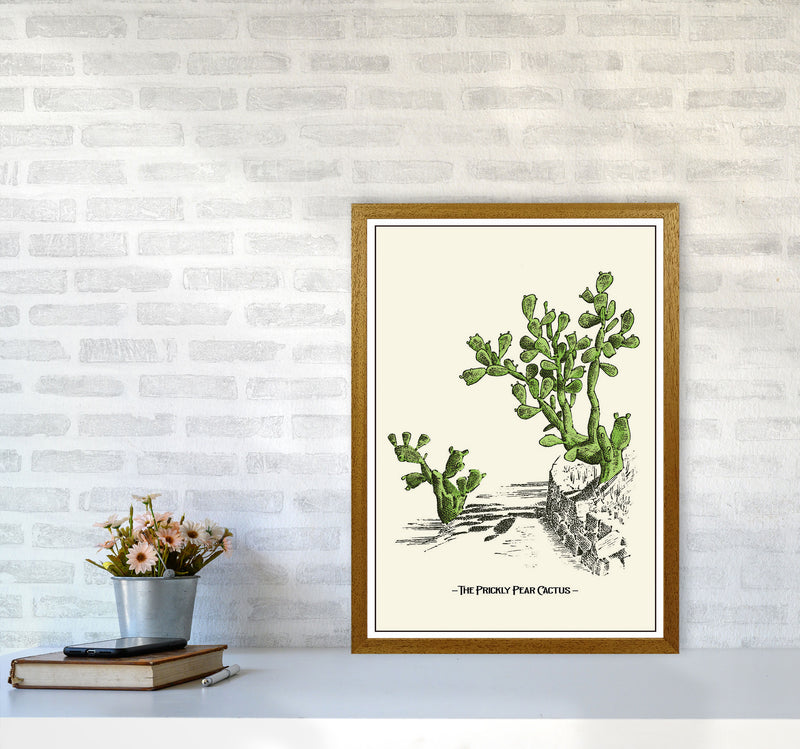 The Prickly Pear Cactus Art Print by Jason Stanley A2 Print Only