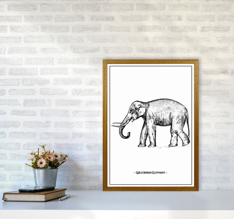 Wild Indian Elephant Art Print by Jason Stanley A2 Print Only