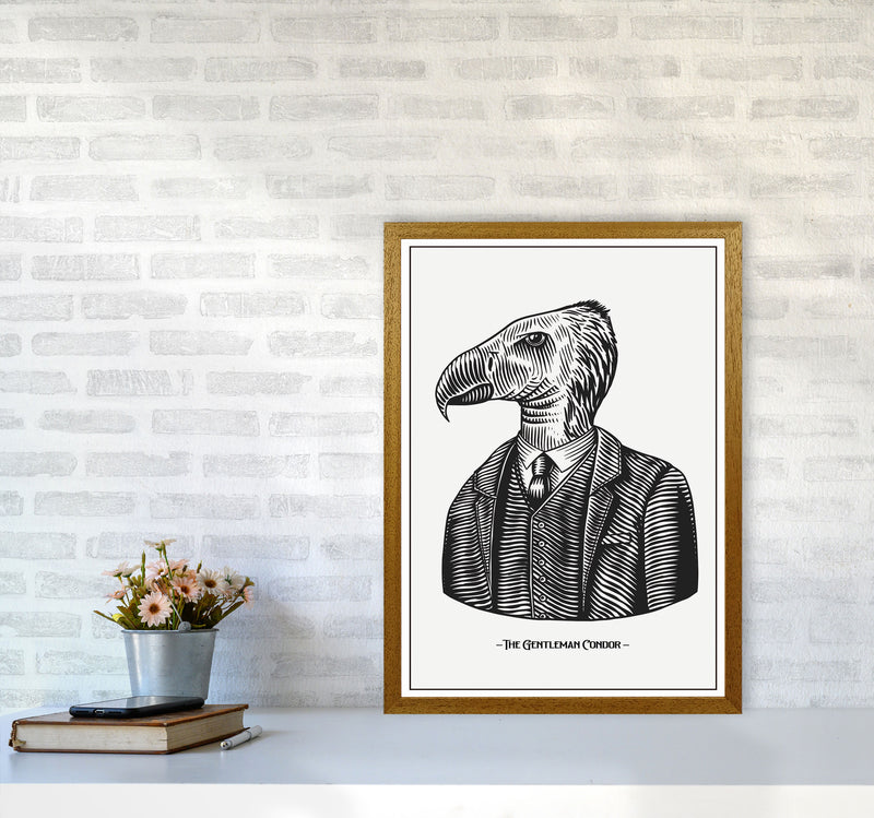 The Gentleman Condor Art Print by Jason Stanley A2 Print Only