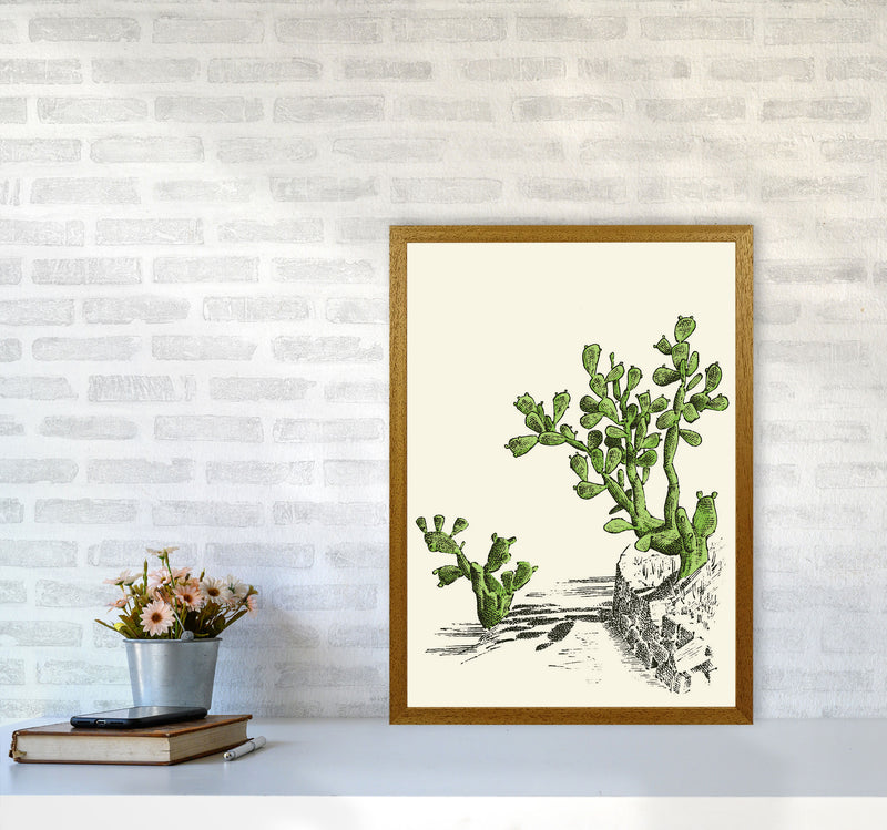 Prickly Pear Cactus Art Print by Jason Stanley A2 Print Only