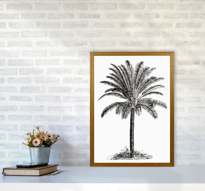 Vintage Palm Tree Art Print by Jason Stanley A2 Print Only