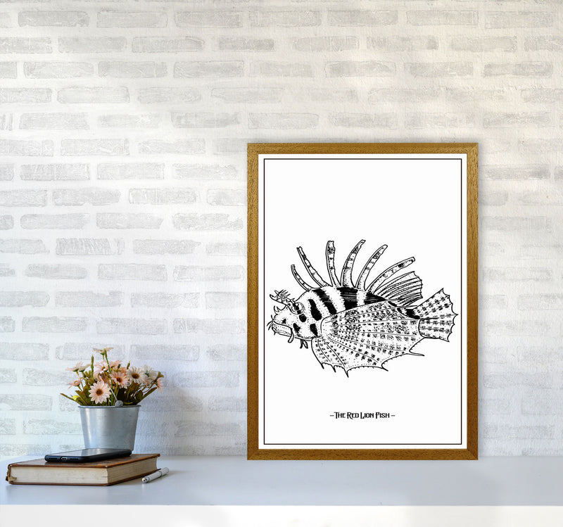 The Red Lion Fish Art Print by Jason Stanley A2 Print Only