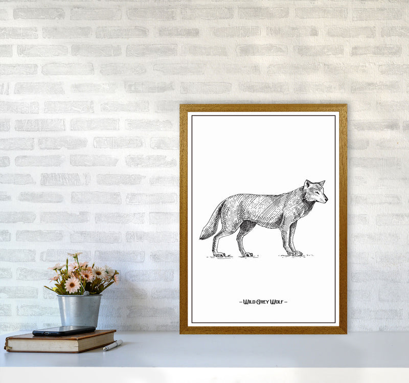 Wild Grey Wolf Art Print by Jason Stanley A2 Print Only