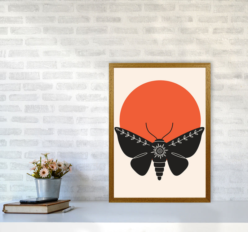 Sunshine Moth Art Print by Jason Stanley A2 Print Only
