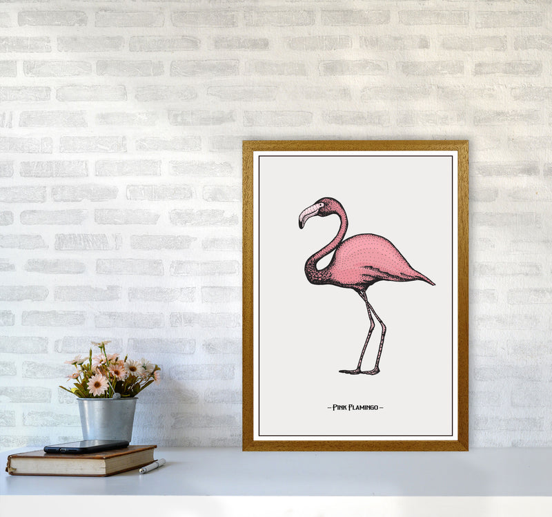 Pink Flamingo Art Print by Jason Stanley A2 Print Only