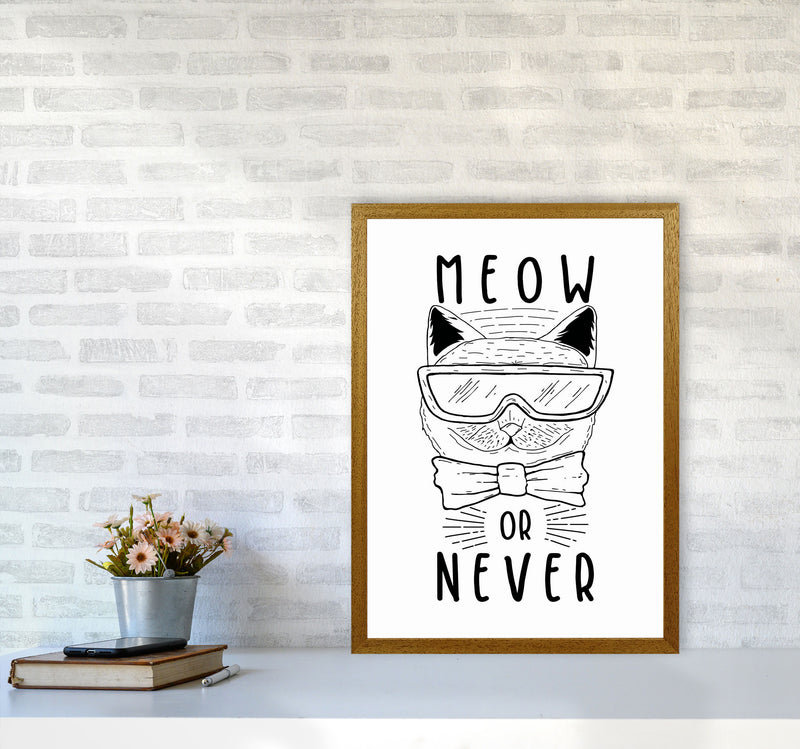 Meow Or Never Art Print by Jason Stanley A2 Print Only