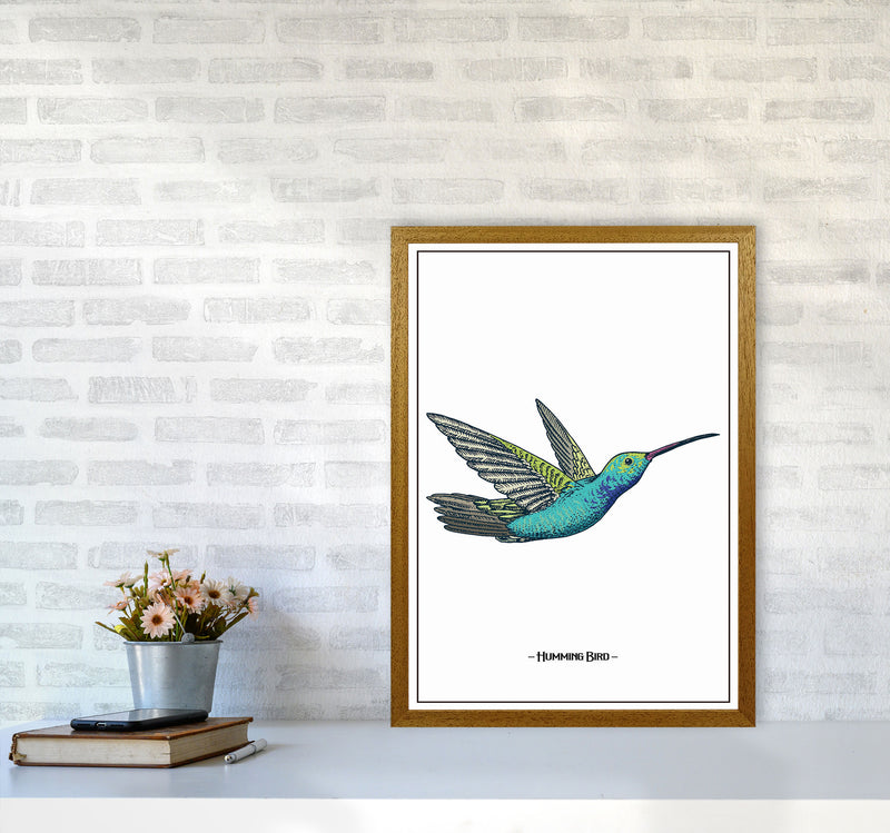 Humming Bird Art Print by Jason Stanley A2 Print Only