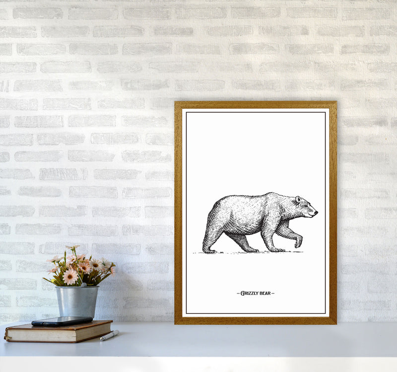 Grizzly Bear Art Print by Jason Stanley A2 Print Only