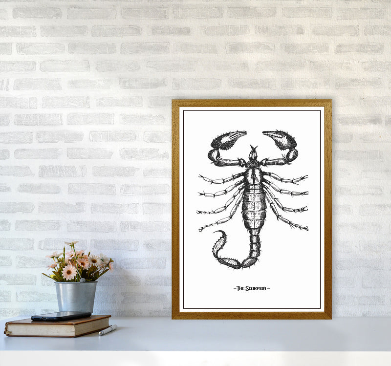 The Scorpion Art Print by Jason Stanley A2 Print Only