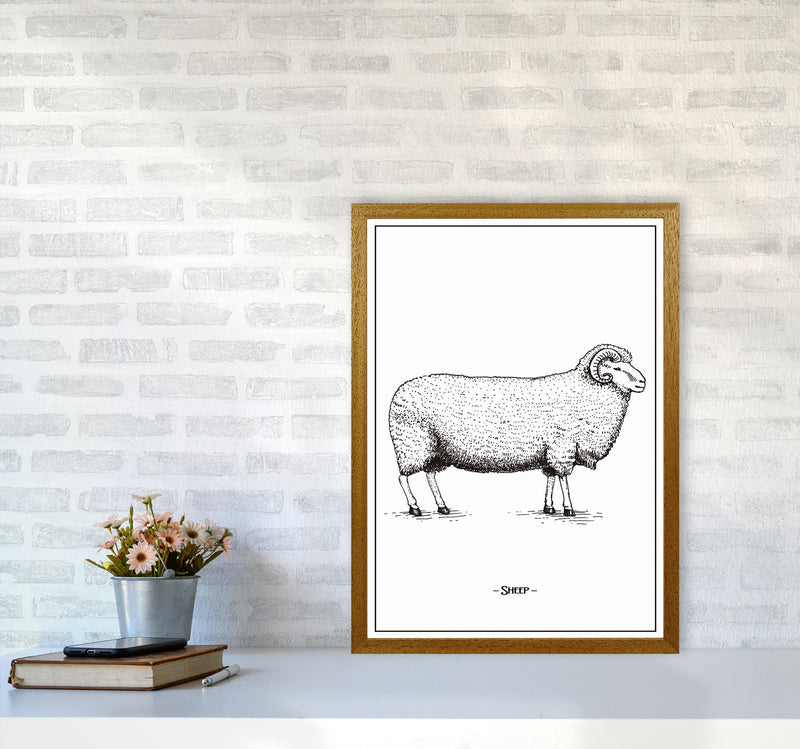 Sheep Art Print by Jason Stanley A2 Print Only
