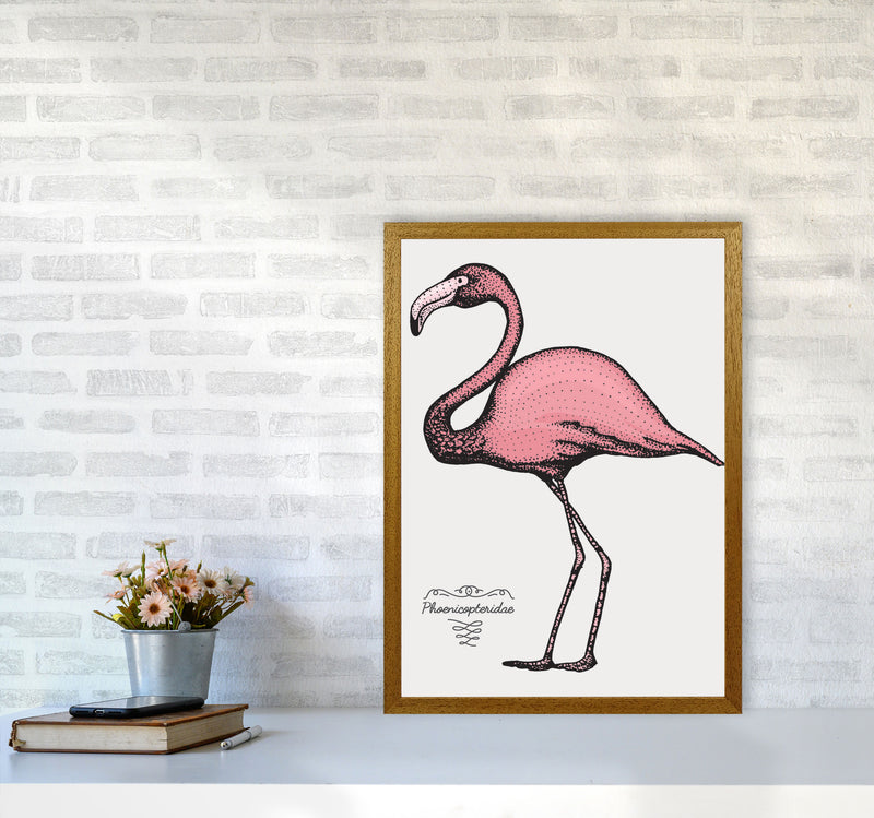Flamingo Art Print by Jason Stanley A2 Print Only
