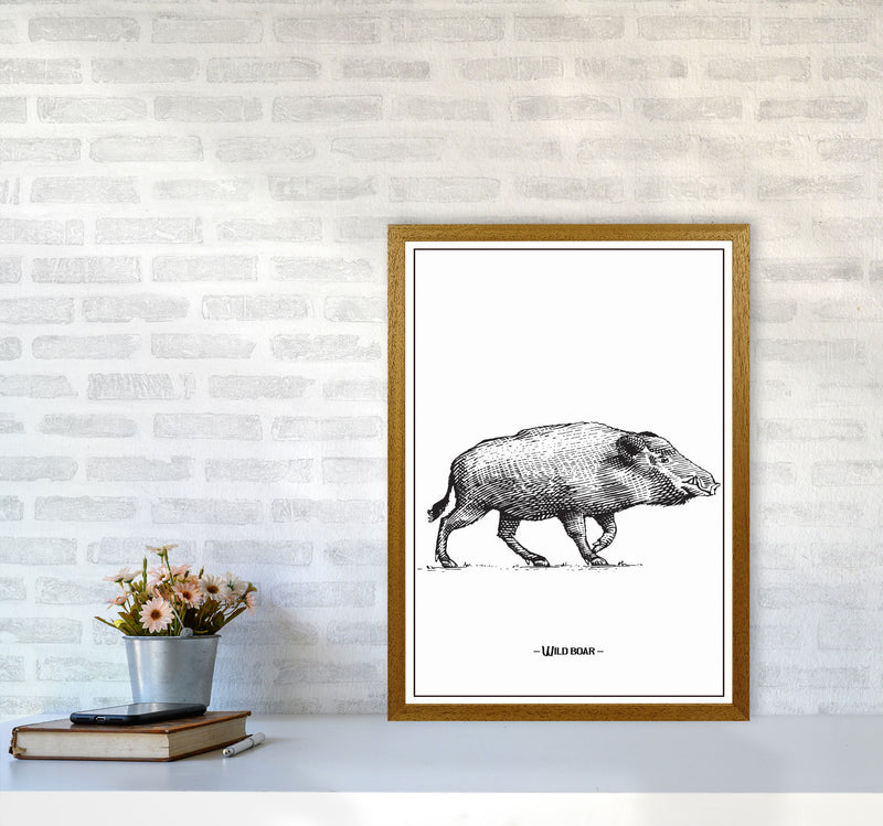 Wild Boar Art Print by Jason Stanley A2 Print Only