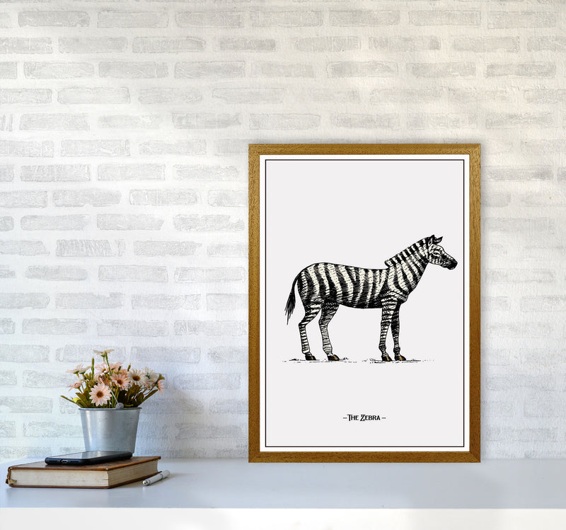 The Zebra Art Print by Jason Stanley A2 Print Only