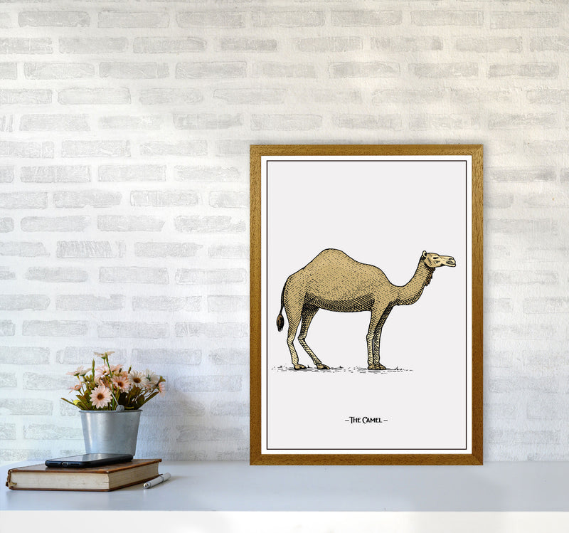 The Camel Art Print by Jason Stanley A2 Print Only