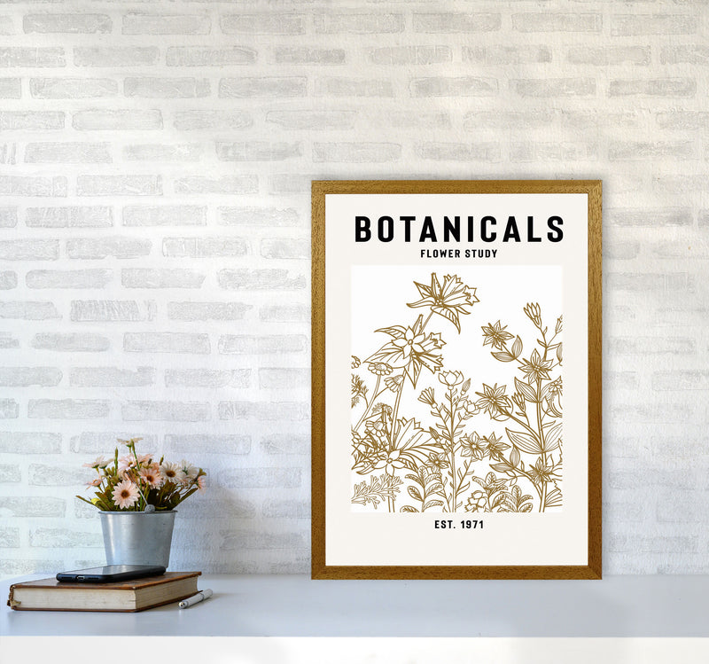 Botanicals Flower Study II Art Print by Jason Stanley A2 Print Only