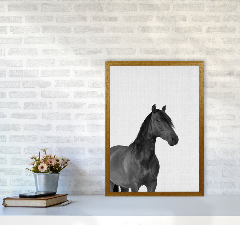 The Dark Horse Rides At Night Art Print by Jason Stanley A2 Print Only